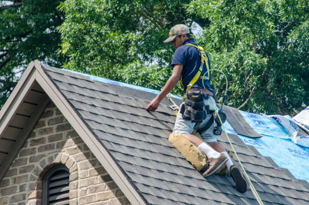 Best Gutter Installation and Roofing  in Kimberly, WI